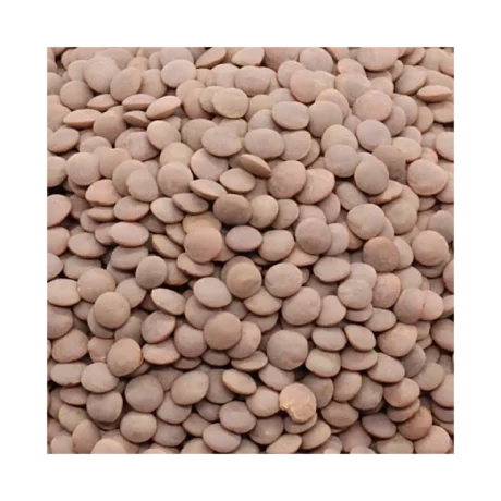Traditional Whole Masoor Dal