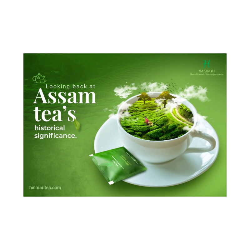 Tea – Assam 3