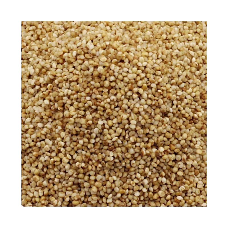 Kodo - Kodri Whole - 500g - Bharat Bazaar