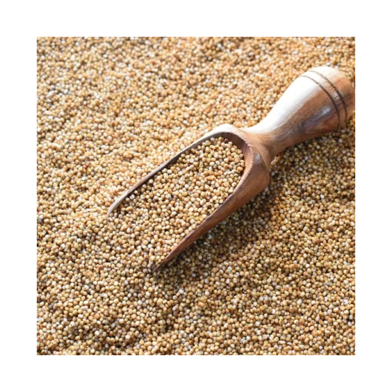 Kodo - Kodri Whole - 500g - Bharat Bazaar