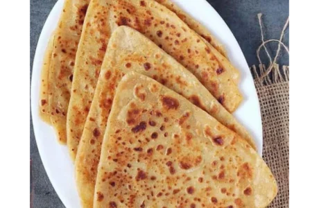 Buy Frozen Indian Foods Online in Japan